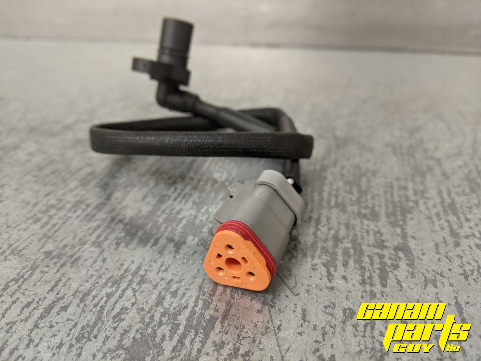 NEW Quad Logic Speed Sensor VSS - Image 4