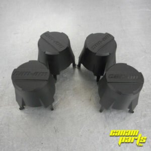 New OEM Wheel Center Cap Set