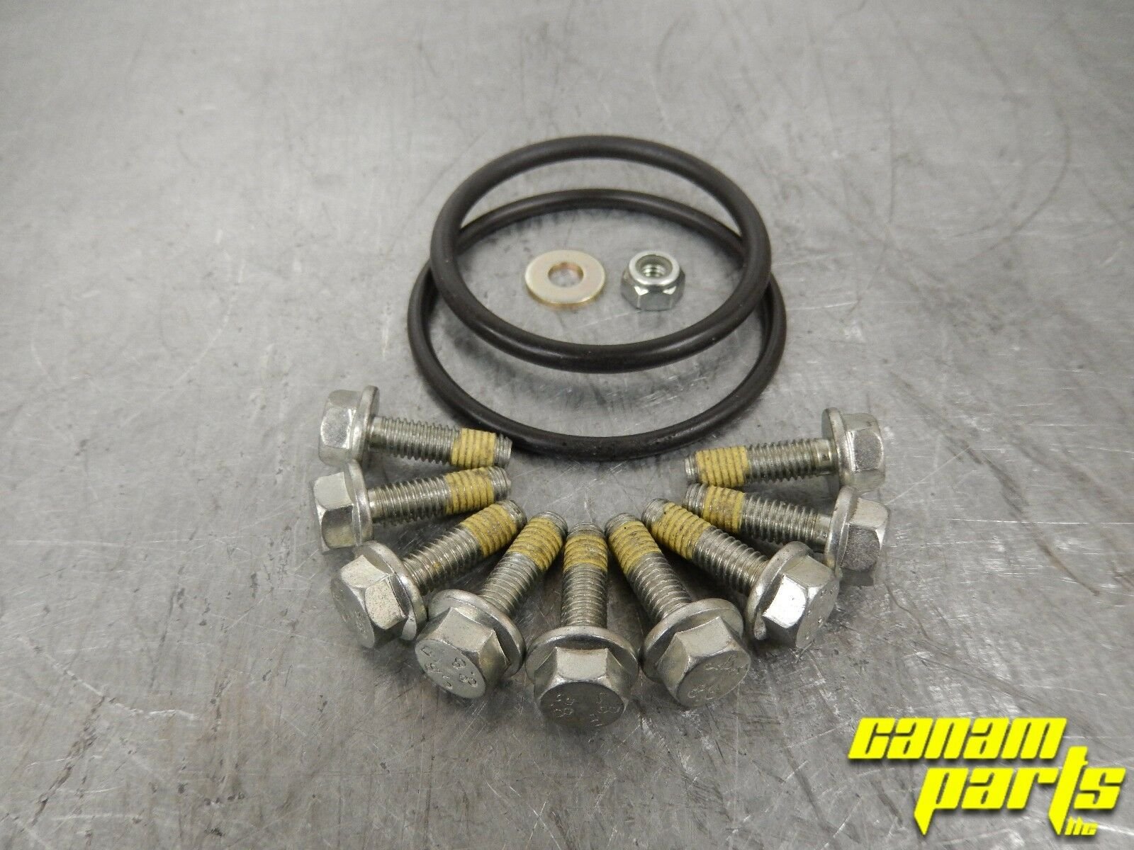 NEW OEM V TWIN Inner CVT Bolt and O-ring kit Hardware