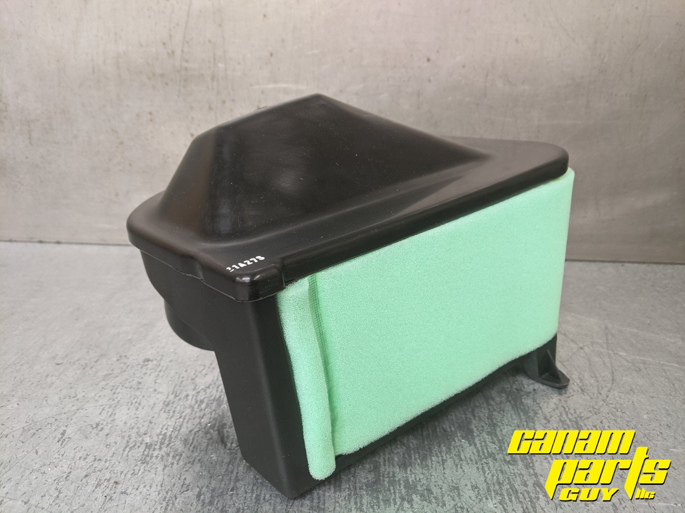 NEW OEM Air Filter Element 800R G1 09-12