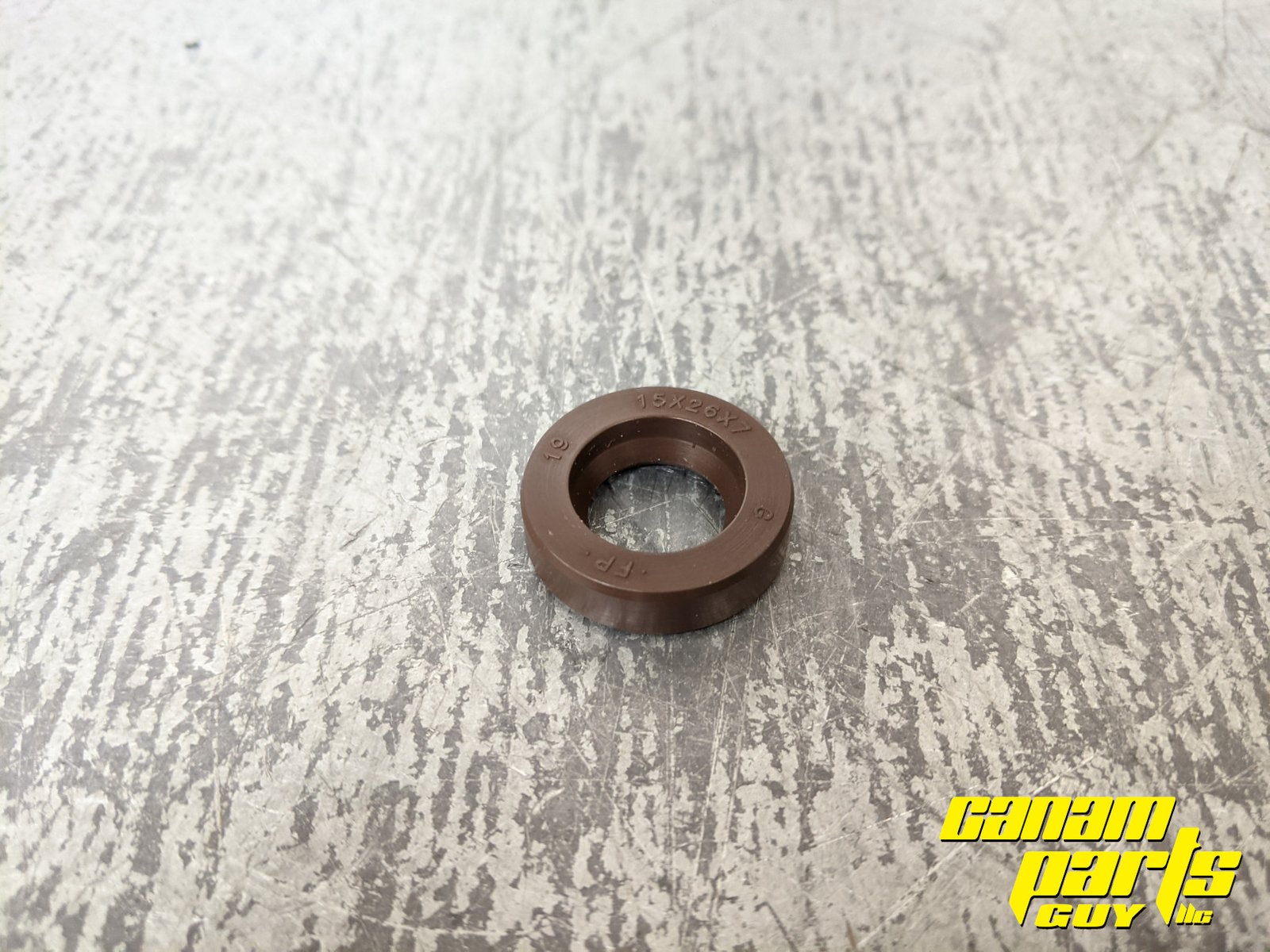 NEW OEM Idle Gear Oil Seal 420430555
