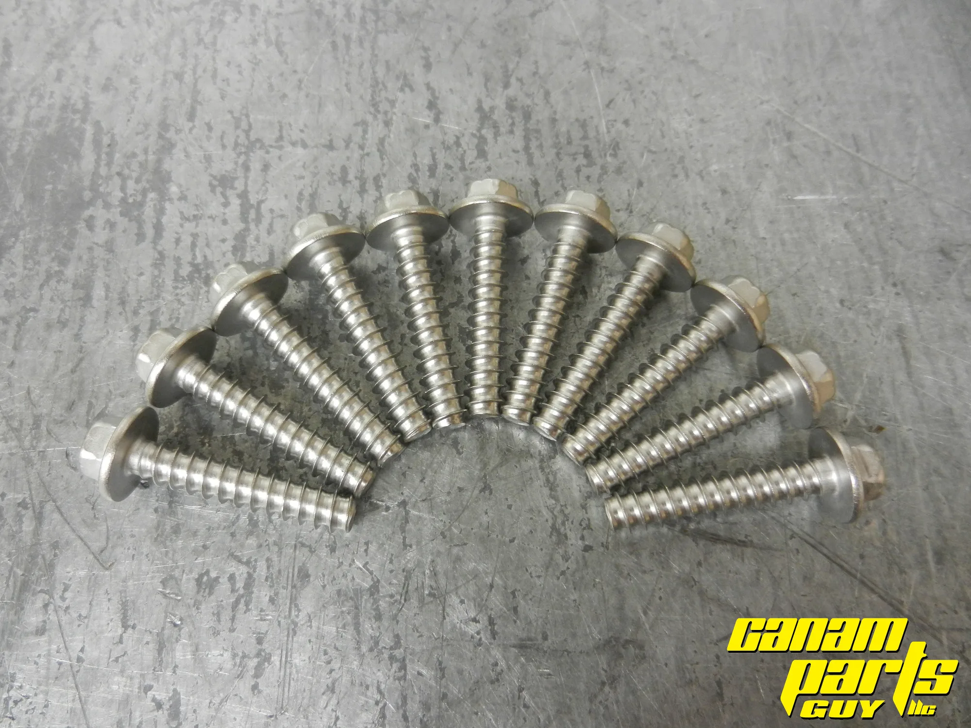 New Set Of 11 Torx Screw 6X30 OEM 420441575